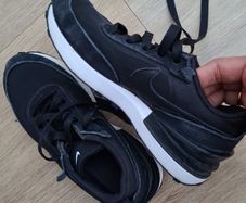 trainers