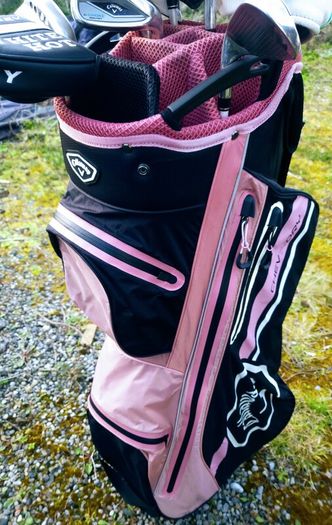 Set of Ladies Golf Clubs