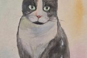 cat watercolour