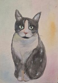 cat watercolour