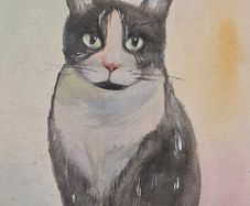 cat watercolour