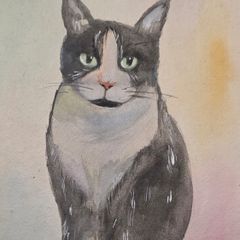 cat watercolour