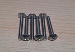 Fender Chasis Mount Replacement Screws Upgrade