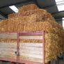 Organic Straw Small Squares Image 9