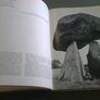 The Irish World The history and cultural achievement of the Irish people Ireland Image 5