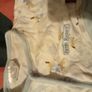 Peter rabbit snowsuit and baby gro bib Image 6