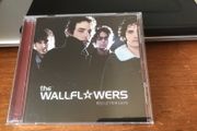 The Wallflowers "Red Letter Days"
