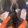 Robusta sefety boots size 9 Image 5