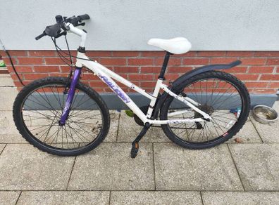Girls Raleigh mountain bike
