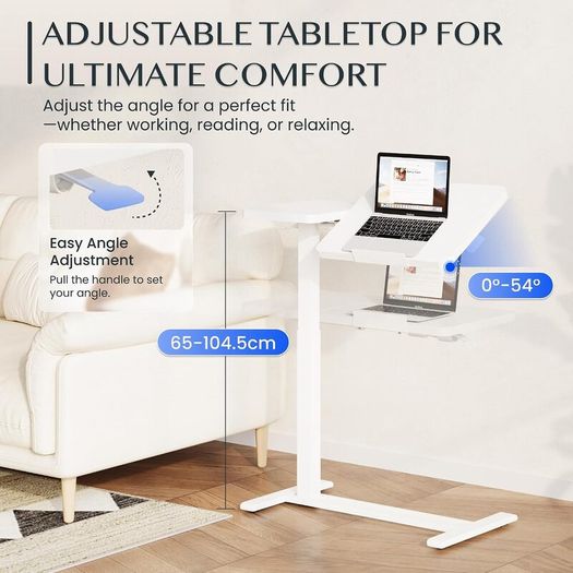 FLEXISPOT Adjustable Stand