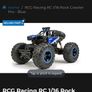 TWO Rcg racing remote control 1/16 Rock Crawler pro car Image 4