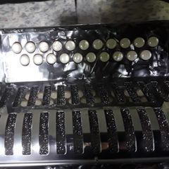 Button Accordion