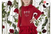 ADee royal garden red roses set age 10