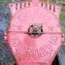 "Beet pulper " Wexford engineering turnip cutter   Free moving parts  NEEDS: TWO LEGS NEW SET OF BLADES Image 2