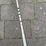 walking stick Image 3