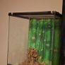 Exo Terra Bamboo Forest Tank Image 2