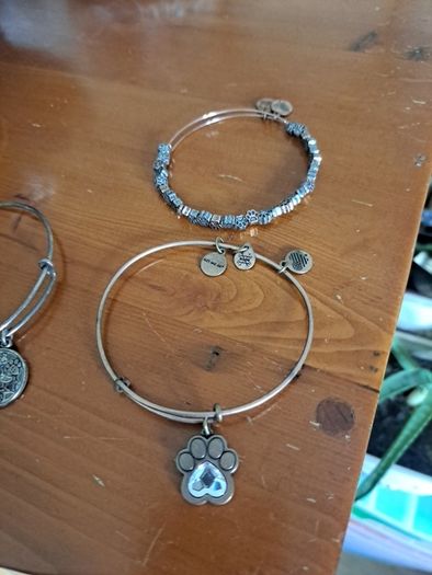 alex and ani