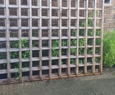 Wicklow wood heavy trellis 6ftx4ft or 1.2m golden brown x2 and other one 7ftx4th 2.1m