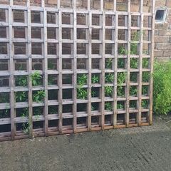 Wicklow wood heavy trellis 6ftx4ft or 1.2m golden brown x2 and other one 7ftx4th 2.1m