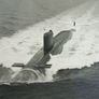 ROYAL NAVY (photoprints x 4) - HMS Intrepid (L 11), HMS Rothesay (F 107), Ark Royal aircraft carrier & HMS Resolution (S 22) submarine Image 10