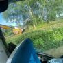 Hedgecutting Image 2