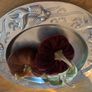 Large Decorative Pewter Dish with Koi Fish Engraving Image 4