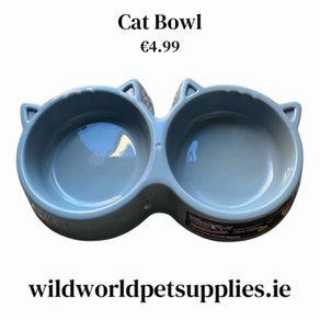 Cat Bowl