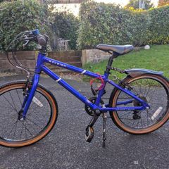 Raleigh Pop 20