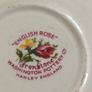VTG Washington Ironstone Pottery English Rose 2 Cup and Saucers Plate Floral Gilt Image 5