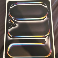 iPad Pro M4 - 13 inch