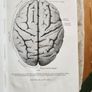 Psychology.  Stonyhurst Philosophical  Series. By Michael Maher, Sj. 1905 Hardback In Good Condition. Image 8
