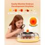 24 Egg Incubator, Automatic Egg Turner with LED Candler, Temperature  Humidity Control, 360 View Clear Window, Auto Water Refill, Poultry Eggs Incubators for Hatching Chicks Ducks Goose Quail Image 5