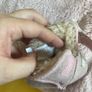 UGG baby girl shoes size 18 eu Image 4