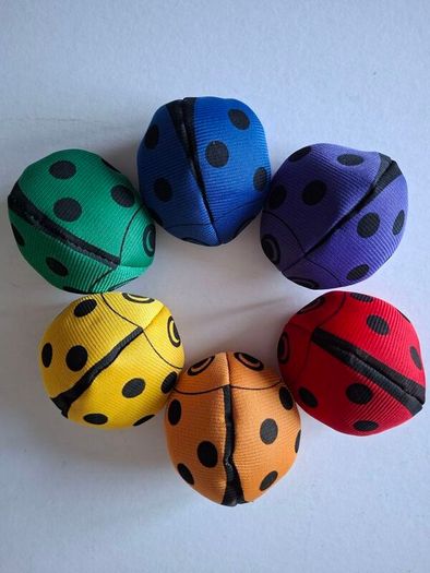 Ladybird Bean Bags (6)