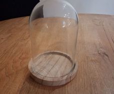 Glass Dome