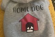 Fab dog hoodie