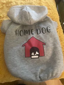 Fab dog hoodie