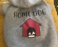 Fab dog hoodie