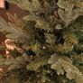 Xmas tree Image 7