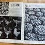Life Magazine July 27 1942 Image 2