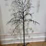Illuminated tree. Image 3