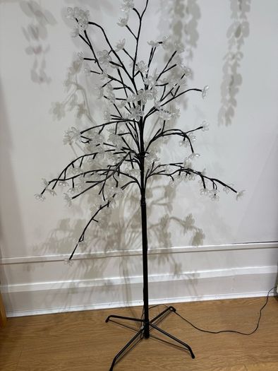 Illuminated tree.