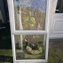 NEW composite doors and pvc door Image 10