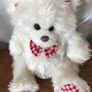Two Soft Teddy's Image 5