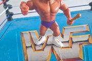 WWF Hasbro Macho King Randy Savage with Sector
