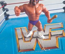 WWF Hasbro Macho King Randy Savage with Sector