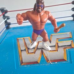 WWF Hasbro Macho King Randy Savage with Sector