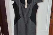 Dorothy Perkins Dress (New)