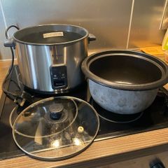 rice cooker (large)