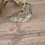 Vintage Brass Horse & Mini Brass Coal Scuttle Image 7